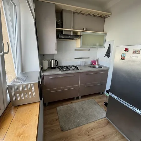 Spacious In Old Town Street Apartment Vilnius